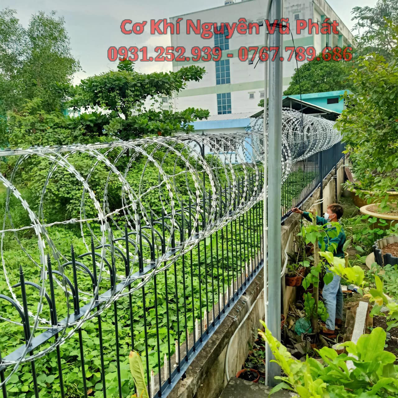 Thi công hàng rào sắt lưới kẽm gai tại Thuận An, Bình Dương